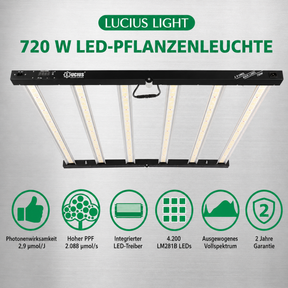 LED LIGHT Pflanzenlampe Black Label LED Growlampe 720 W, Vollspektrum, 2,9 µmol/J, dimmbar mit Timer